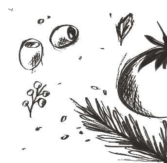 shape